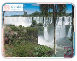 Slider image (5) Dr. Glujovsky | Fertility Argentina | CEGYR